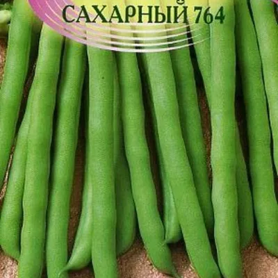 Фасоль обыкновенная 'Триумф сахарный 764'