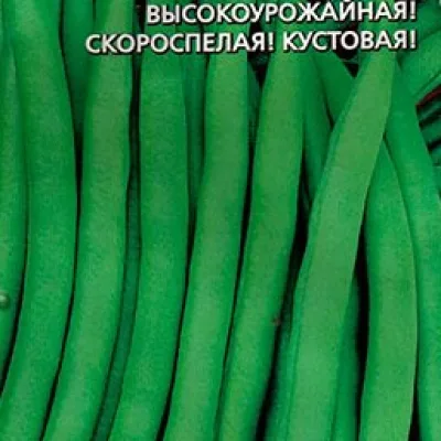 Фасоль обыкновенная 'Щедрая'