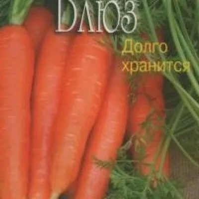 Морковь посевная 'Блюз'