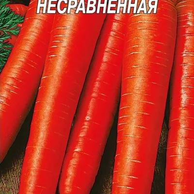 Морковь посевная 'Несравненная'