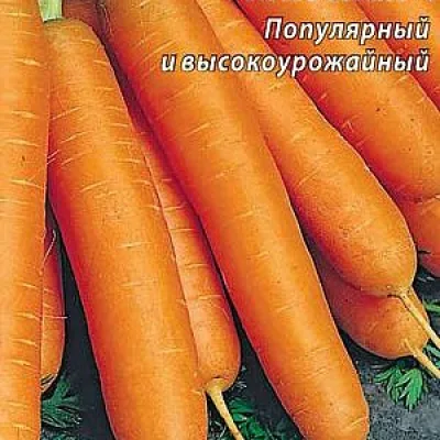Морковь посевная 'Нантская 4'