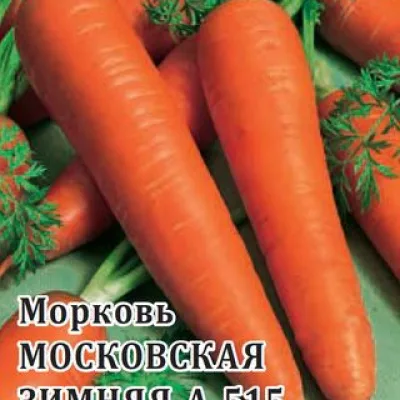 Морковь посевная 'Московская зимняя А 515'