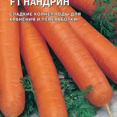 Морковь посевная 'Нандрин F1'