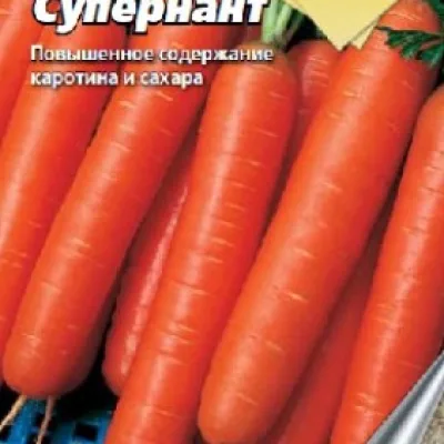 Морковь посевная 'Супернант'