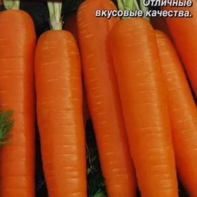 Морковь посевная 'Форто'