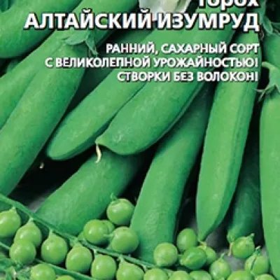 Горох овощной 'Изумруд'