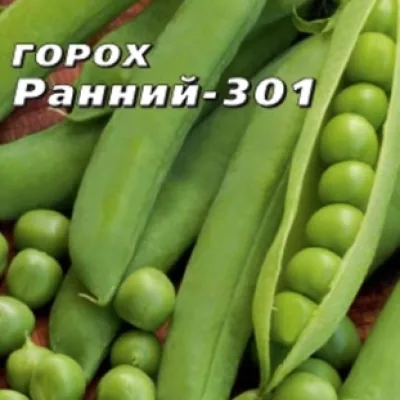 Горох овощной 'Ранний 301'