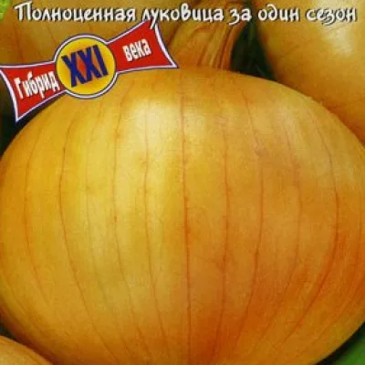 Лук репчатый 'Копра F1'