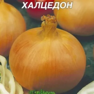 Лук репчатый 'Халцедон'
