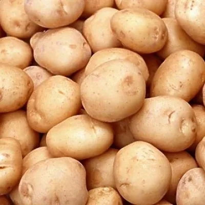Картофель 'Бронницкий'