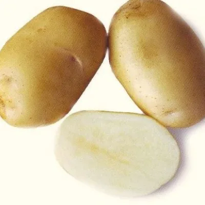 Картофель 'Миракел'