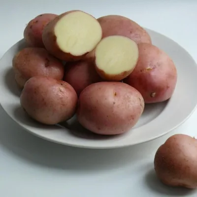 Картофель 'Романо'