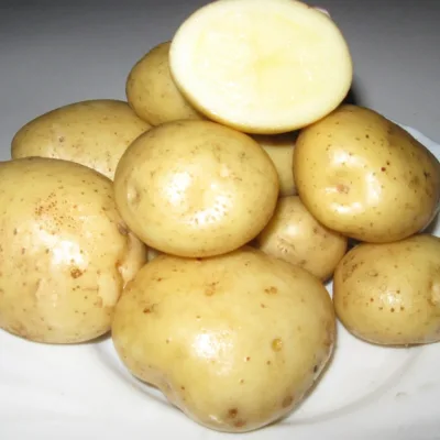 Картофель 'Фреско'