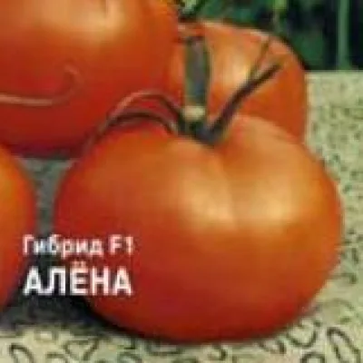 Томат 'Алена F1'