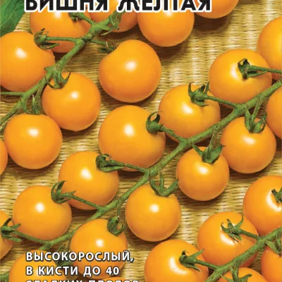 Томат 'Вишня желтая'