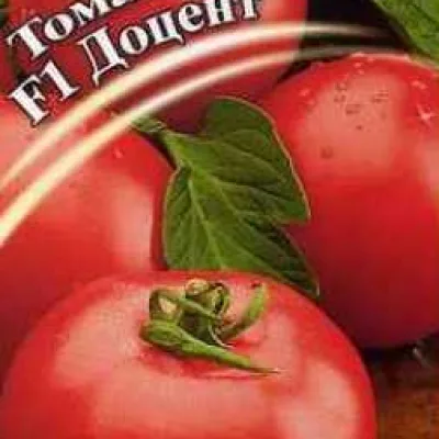 Томат 'Доцент F1'