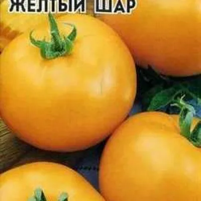 Томат 'Желтый шар'