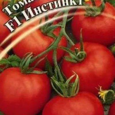 Томат 'Инстинкт F1'