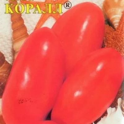 Томат 'Коралл'