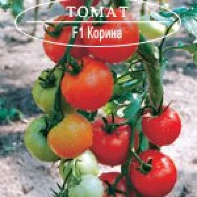 Томат 'Корина F1'