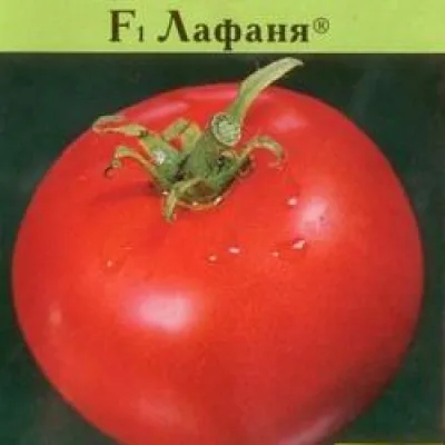 Томат 'Лафаня F1'