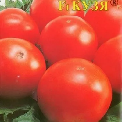 Томат 'Кузя F1'