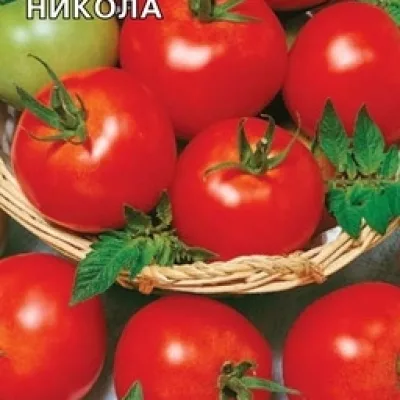 Томат 'Никола'
