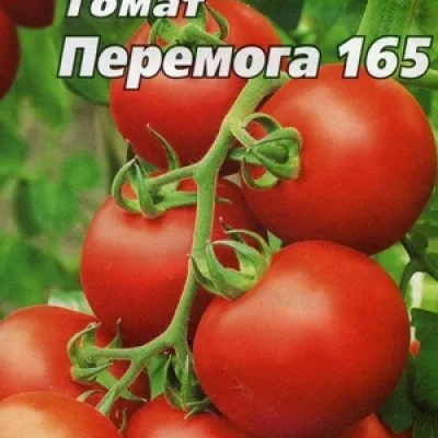 Томат 'Перемога 165'