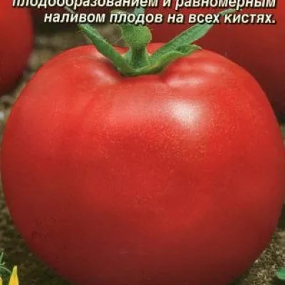 Томат 'Страус F1'