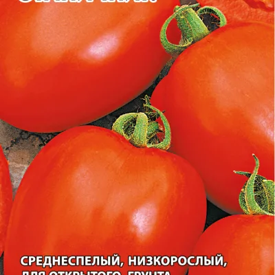 Томат 'Станичник'