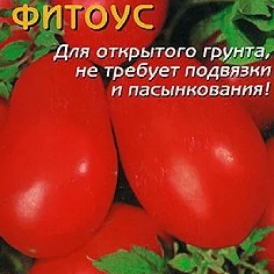 Томат 'Фитоус'
