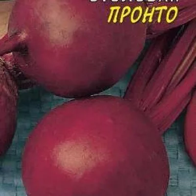Свекла столовая 'Пронто'