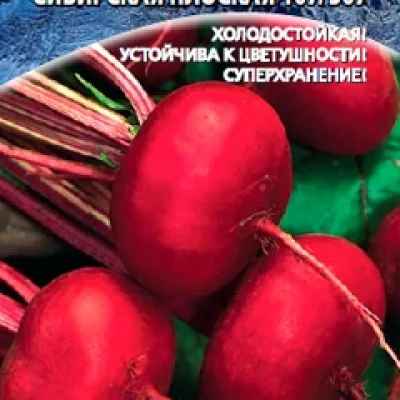 Свекла столовая 'Сибирская плоская 167/367'