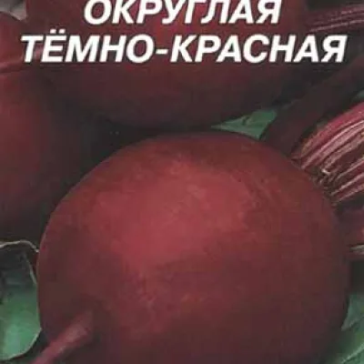 Свекла столовая 'Округлы темночервоны'