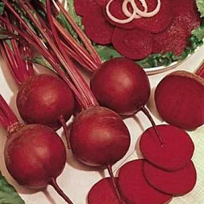 Свекла столовая 'Салатная'