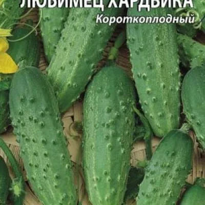 Огурец обыкновенный 'Любимец Хардвика'