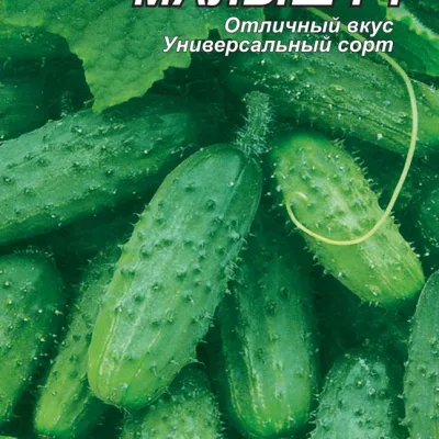 Огурец обыкновенный 'Малыш'