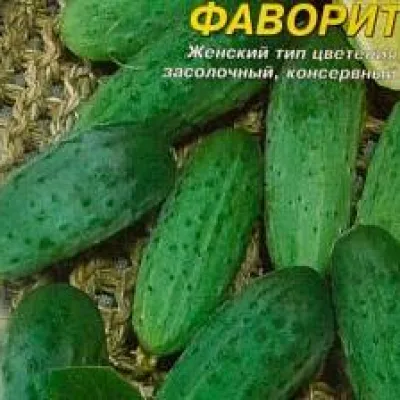 Огурец обыкновенный 'Фаворит'