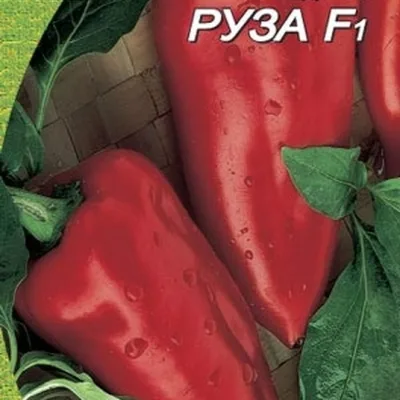 Перец сладкий 'Руза F1'