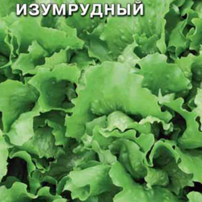 Салат 'Изумрудный'