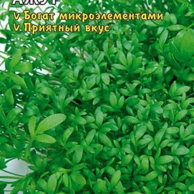 Кресс-салат 'Ажур'