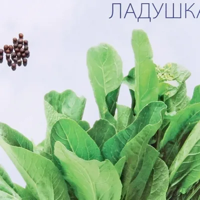 Горчица салатная 'Ладушка'