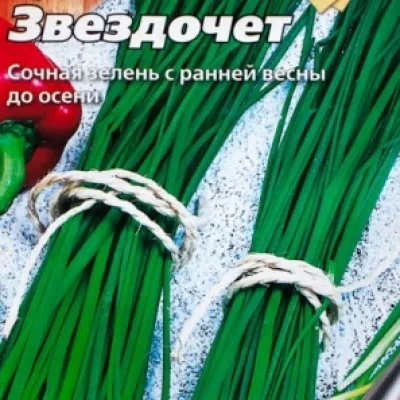 Лук душистый 'Звездочет'