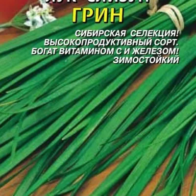 Лук-слизун 'Грин'