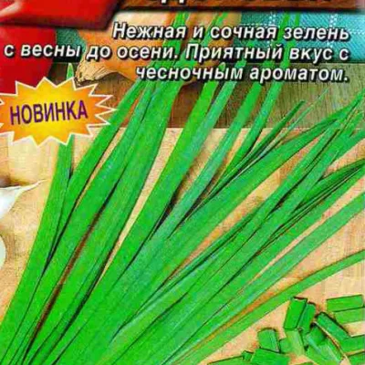 Лук-слизун 'Кладезь здоровья'