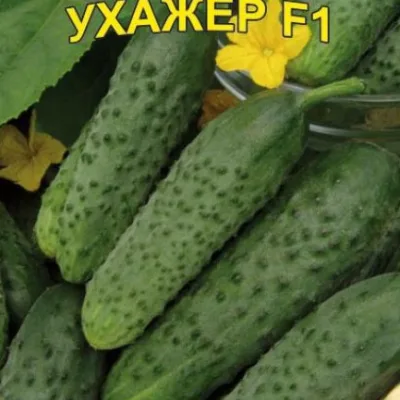 Огурец 'Ухажер'