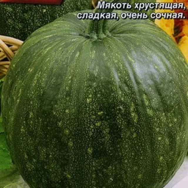 Тыква твердокорая 'Хуторянка' — фото 2