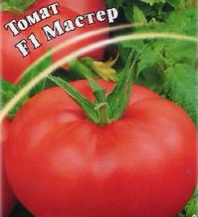 Томат 'Мастер F1' — фото 2