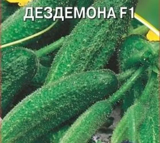 Огурец обыкновенный 'Дездемона F1' — фото 2