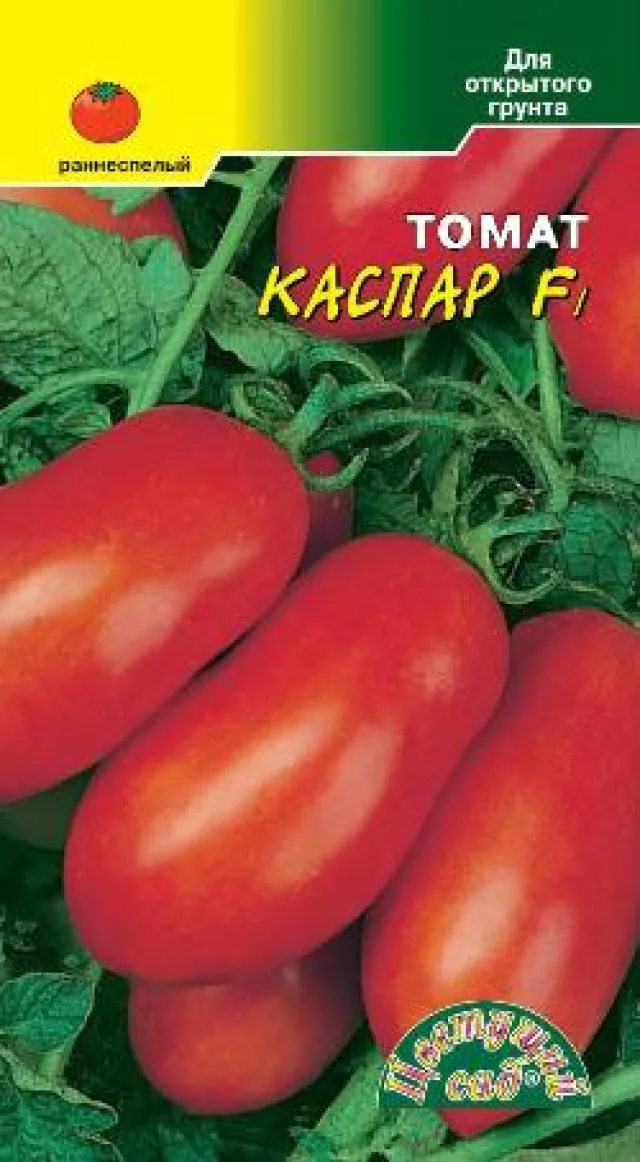 Томат ‘Каспар’ — фото 3